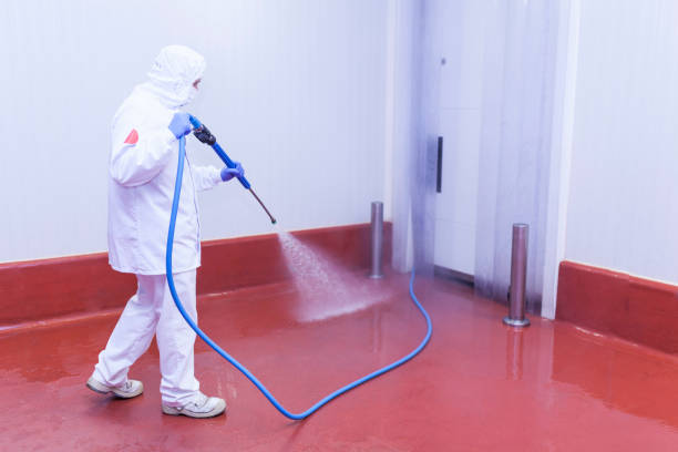 Best Driveway Pressure Washing  in Garrettsville, OH